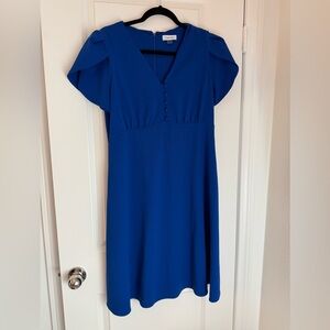 Calvin Klein Royal Blue Midi Dress